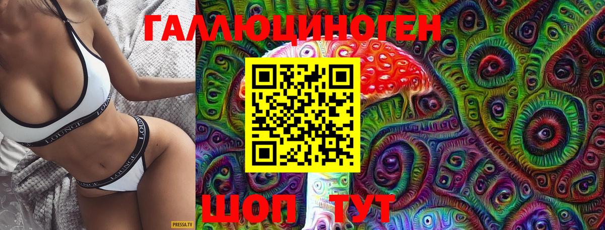 Псилоцибиновые грибы Psilocybe Борисоглебск
