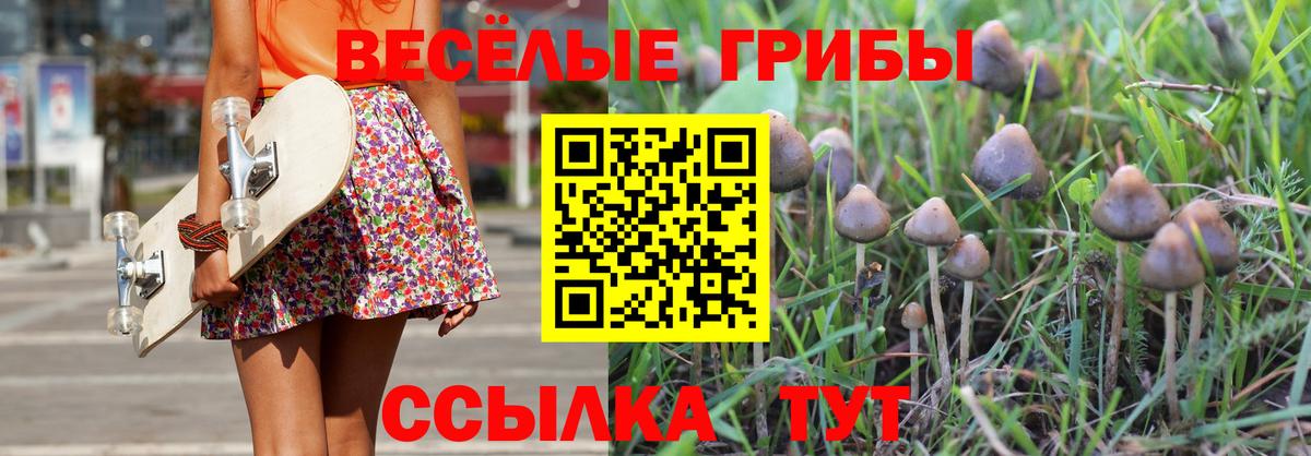 Борисоглебск  Псилоцибиновые грибы MAGIC MUSHROOMS  Псилоцибиновые грибы Psilocybe  Вход с VPN 